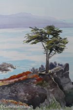 Lone Cypress, California, 2008